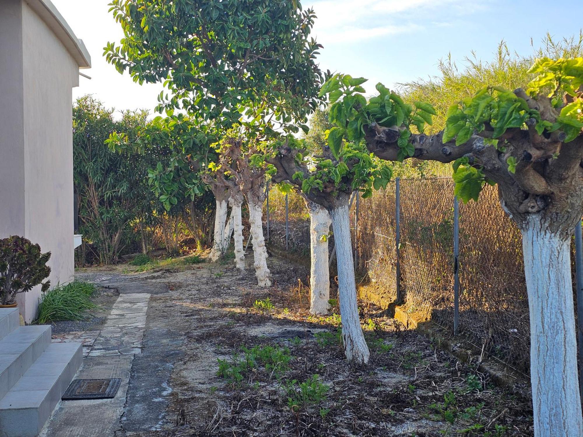 Country Side House Vila Koroni  Exterior foto